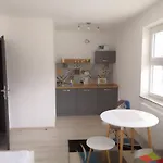 Privat Simba Apartment Strecno